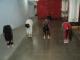 Alcorta - Pilates